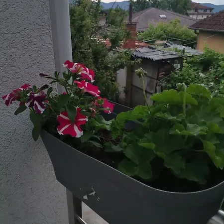 Apartment Kekas Vrnjacka Banja