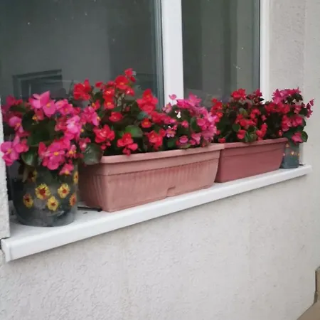 Apartment Kekas Vrnjacka Banja